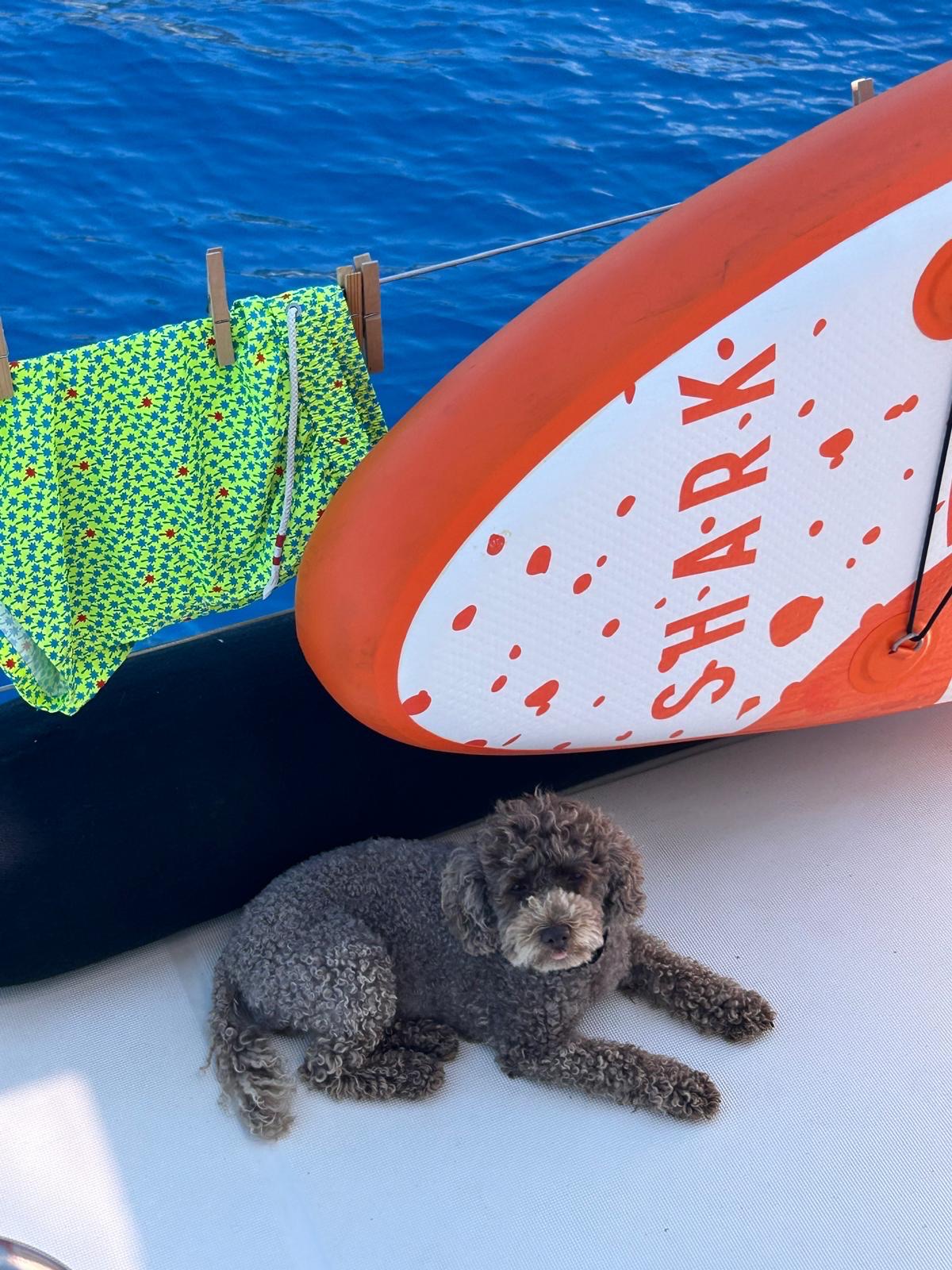 SUP e vita a bordo